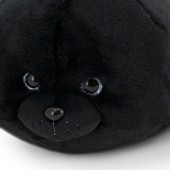 Морской котик черный