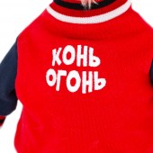 Конь-Огонь