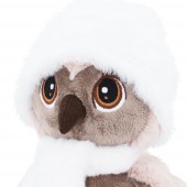 *Life Сова Соня: Зимняя прогулка