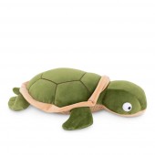 Черепаха зеленая