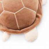 Черепаха коричневая