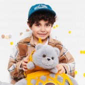 Кот Барсик в сумке серый